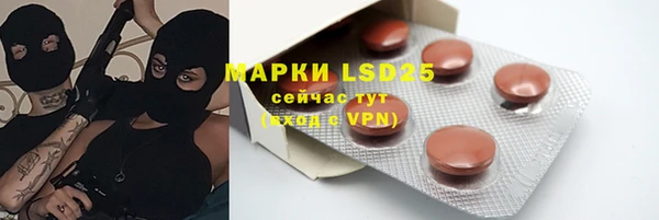 винт Алзамай