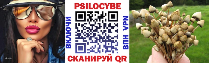 Псилоцибиновые грибы GOLDEN TEACHER  купить закладку  Усолье-Сибирское 