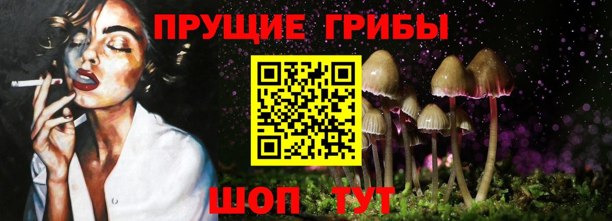 Галлюциногенные грибы Psilocybine cubensis Усолье-Сибирское