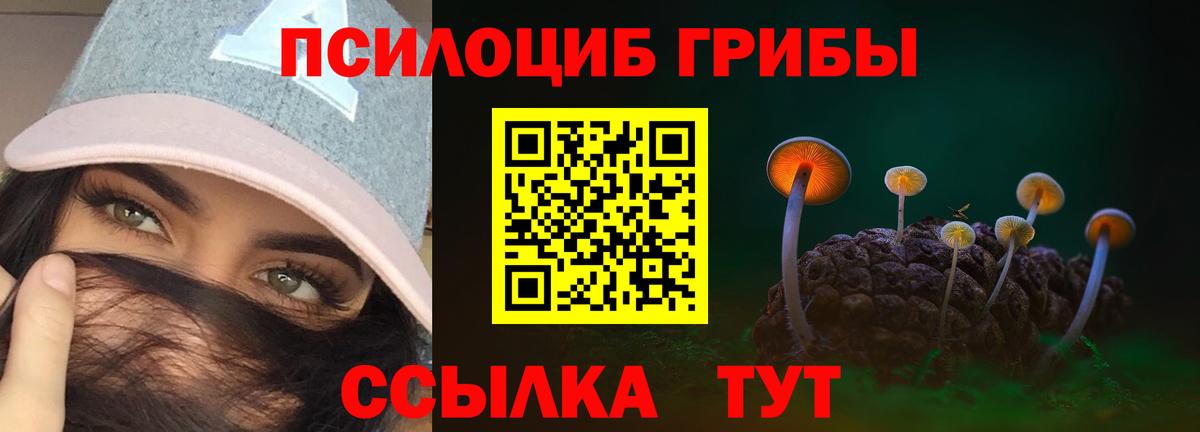 Галлюциногенные грибы Psilocybe  Галлюциногенные грибы прущие грибы  Вход с VPN  Усолье-Сибирское 